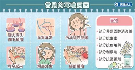 耳朵有聲音|耳朵嗡嗡叫，持續耳鳴怎麼辦？一文看懂「耳鳴」的8。